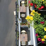 Rheinhotel Lilie Boppard