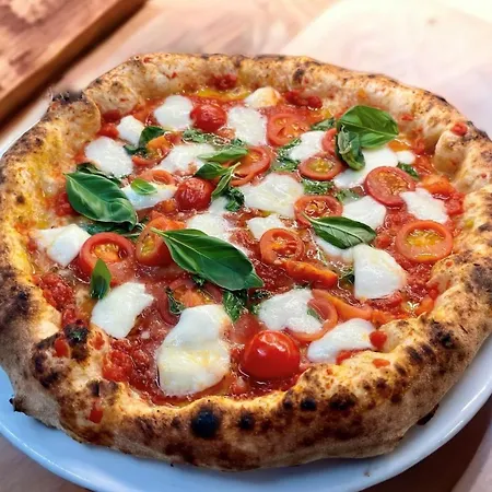 Hotel Rheinhotel Lilie