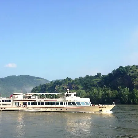 Hotel Rheinhotel Lilie