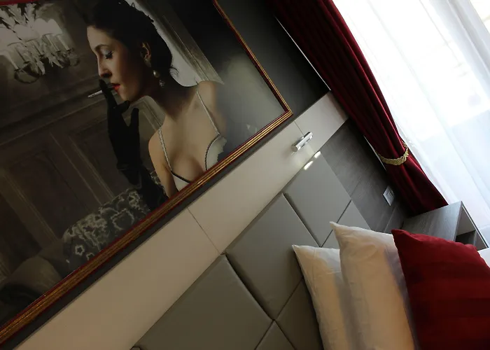 Rheinhotel Lilie Hotell