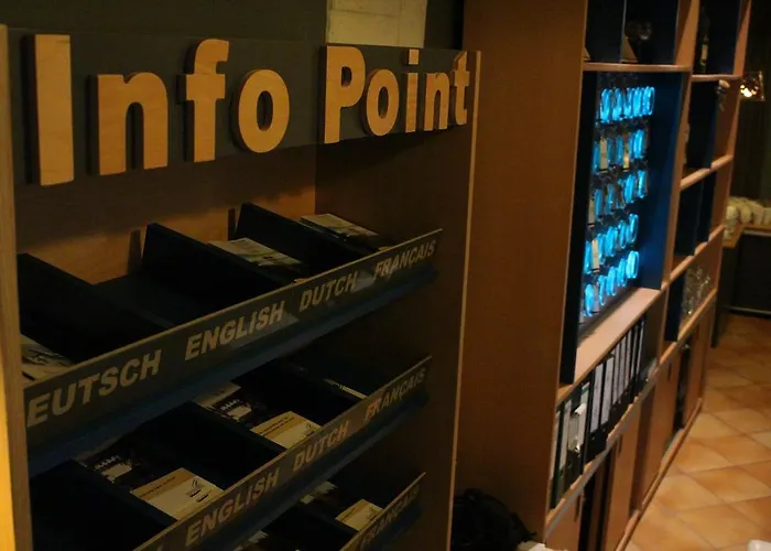 Rheinhotel Lilie 3*