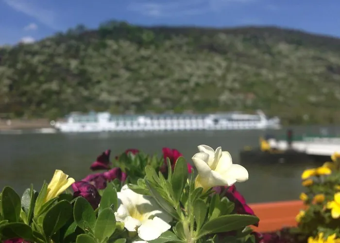 Rheinhotel Lilie Hotell Boppard